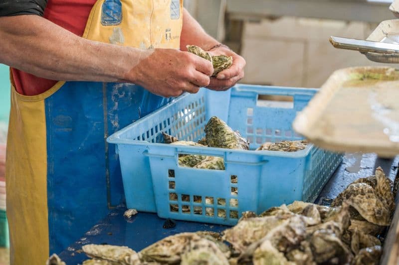 Billet Atelier - Initiez-vous à la culture ostréicole !