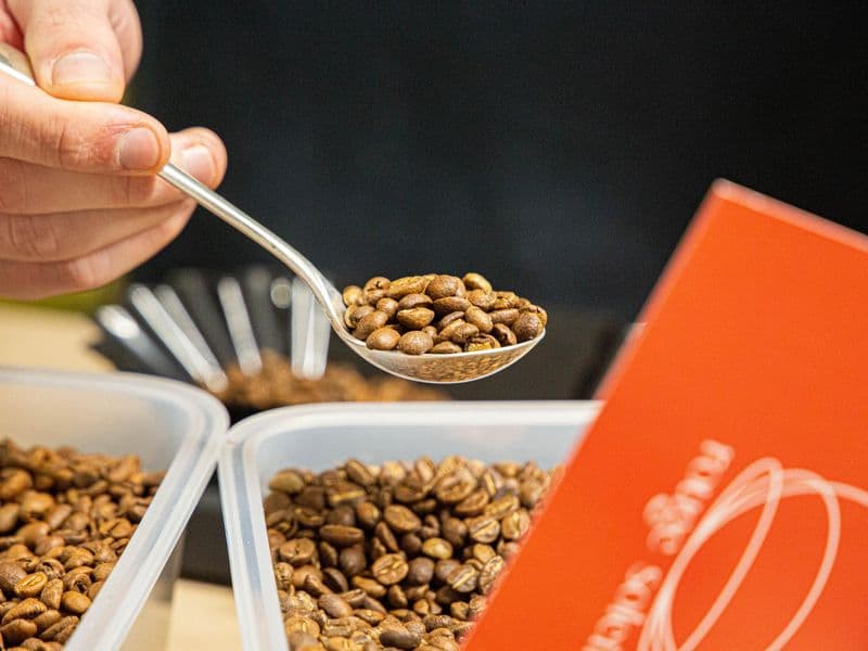 Apprenez la torréfaction comme un professionnel