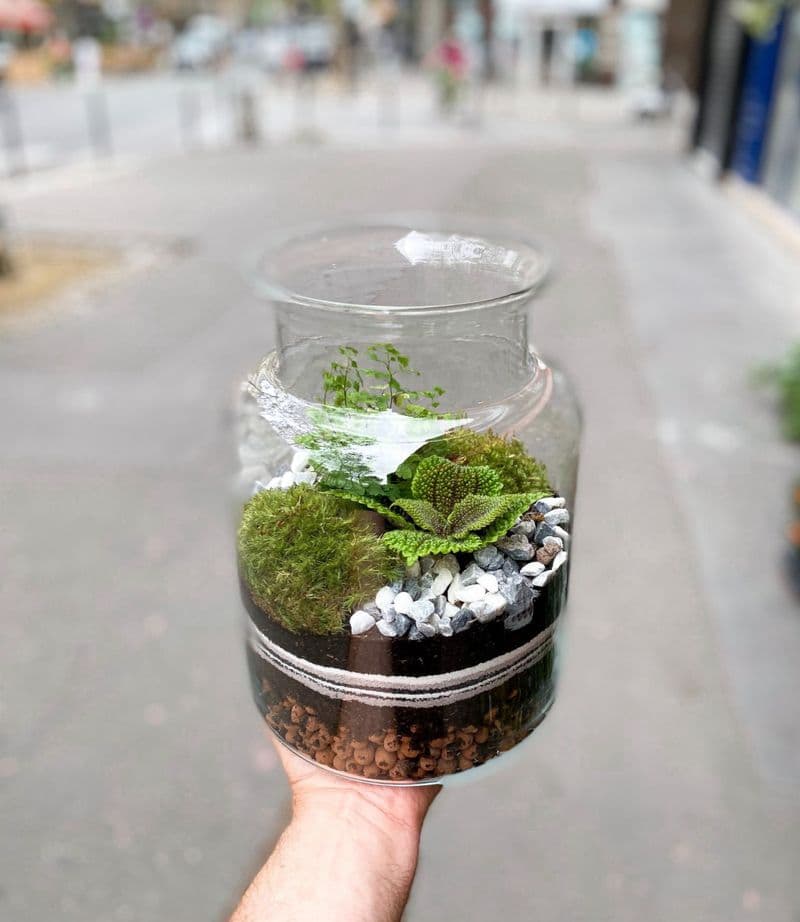 Billet Atelier - Créez et composez votre terrarium (taille L)
