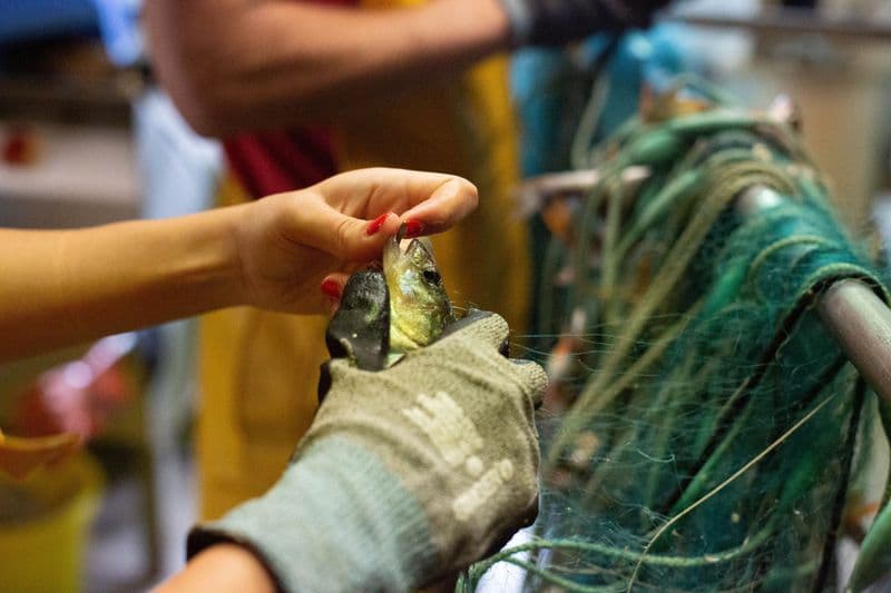 Billet Passez une demi-journée avec un pêcheur passionné