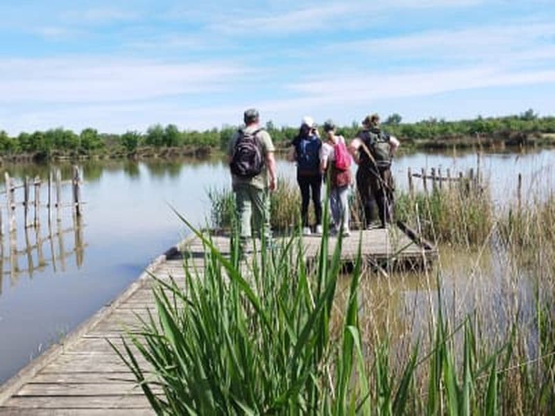 Billet Découverte de la nature en Camargue aux Marais du Vigueirat