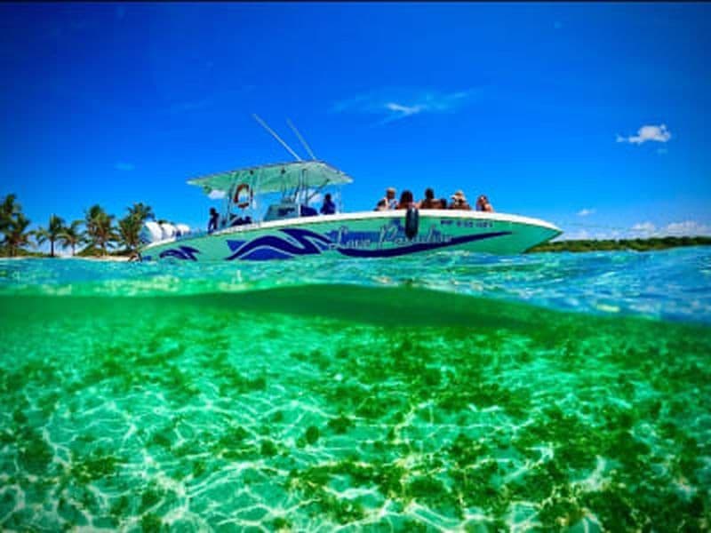Billet Balade en mer et excursion à Petite-Terre depuis Saint-François, Guadeloupe
