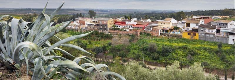 Billet Visite guidée dans Hornachuelos