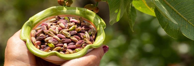 Billet Visite privée sur le thème de la pistache verte de Bronte