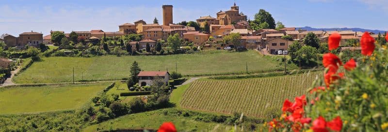 Billet Excursion à Oingt + Visite d'un domaine viticole de Beaujolais
