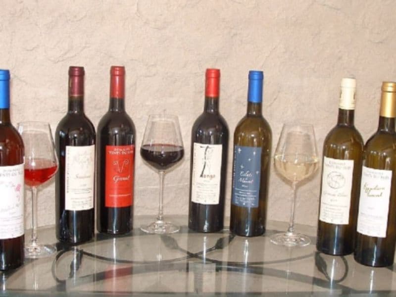 Billet Dégustation de vins à proximité de Perpignan (66)