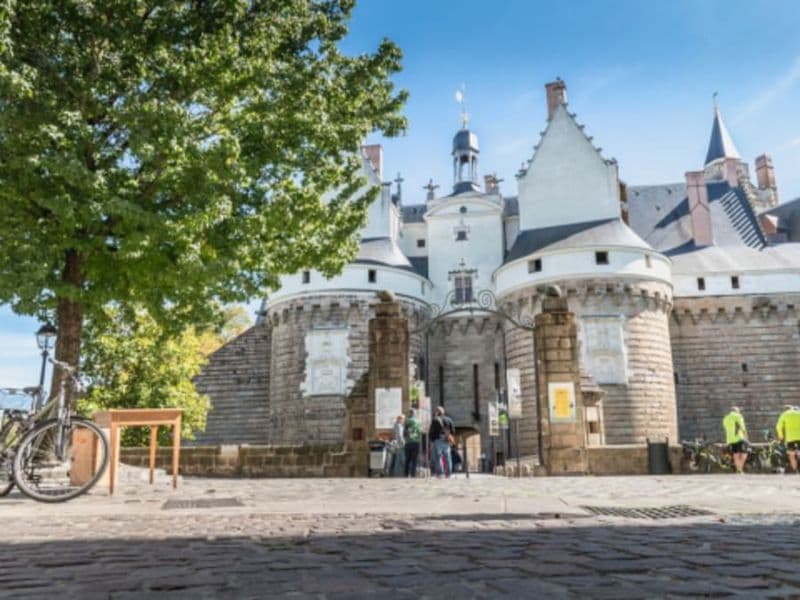 Billet Jeu de piste "L'Affaire du trésor disparu" à Nantes (44)