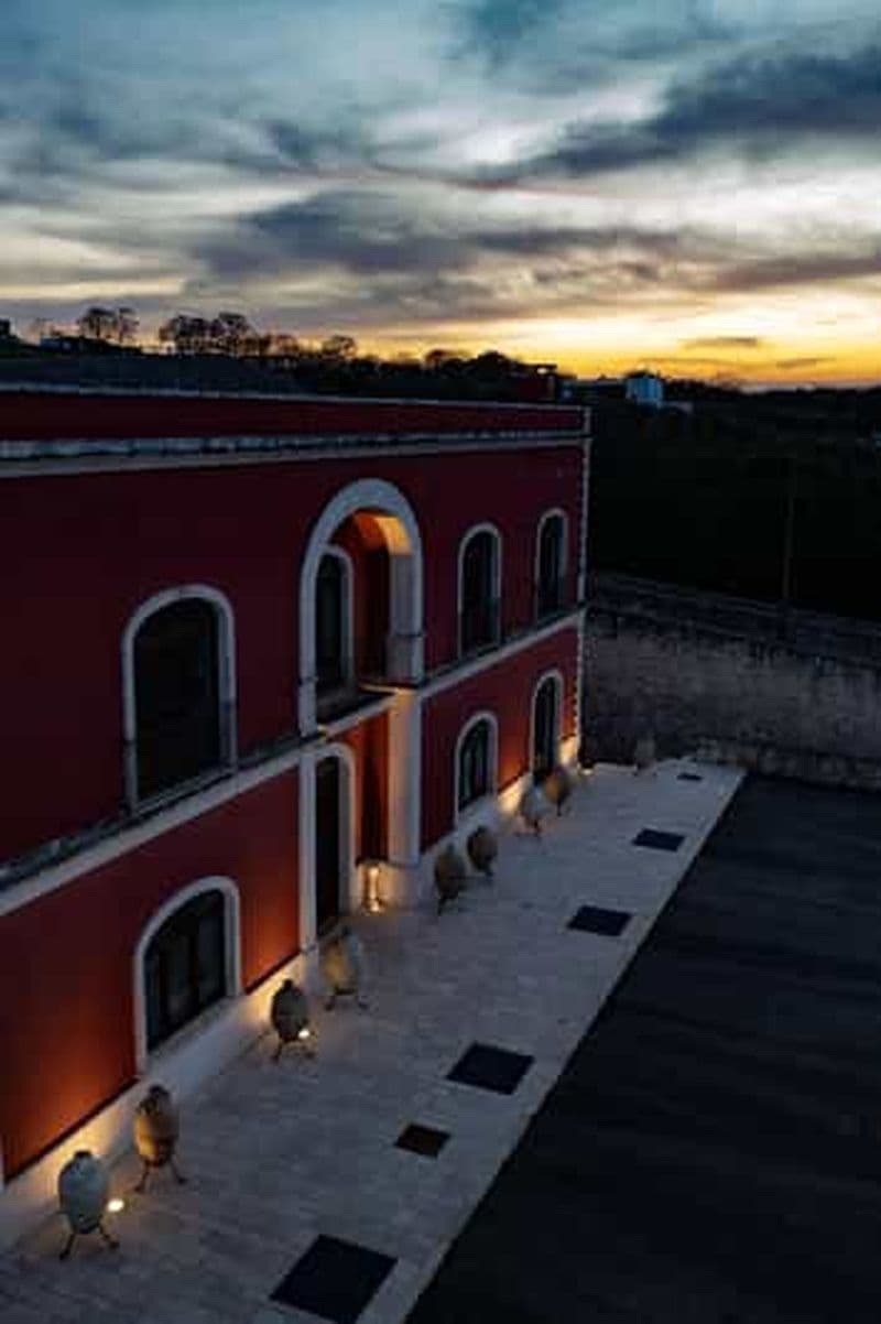 Billet Tenute Girolamo : visite de la cave et dégustation VIP dans la vallée d'Itria