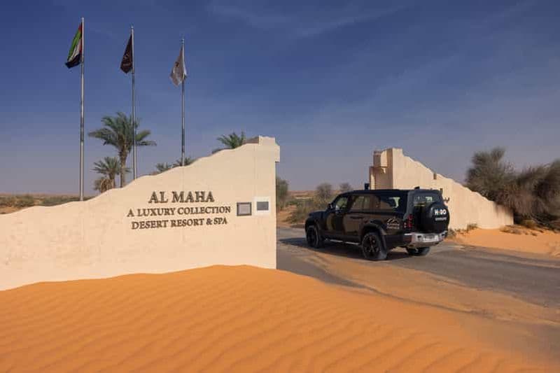 Billet Dubaï : safari dans le désert avec petit-déjeuner à Al Maha