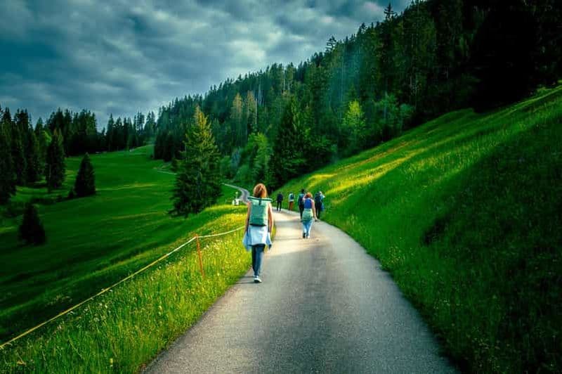 Billet Unterseen : Visite d'une ferme fromagère d'alpage et fabrication de fromage