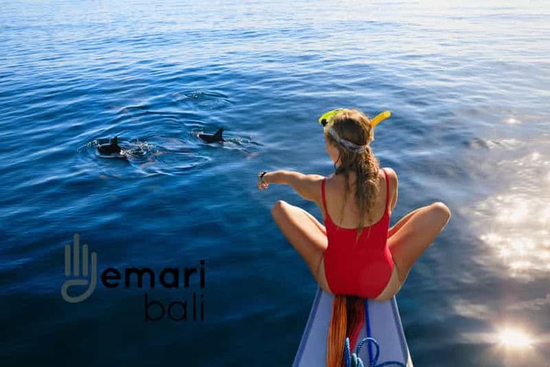 Billet Lovina : Observation, nage avec les dauphins et plongée avec masque et tuba dans le corail