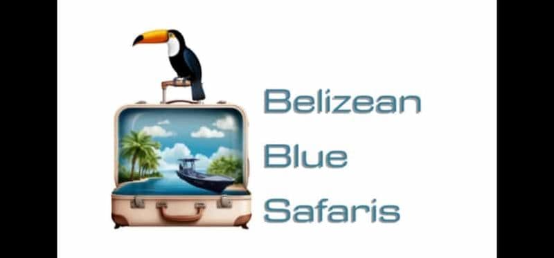 Billet San Pedro : Hol Chan - Shark Ray Alley and Caye Caulker