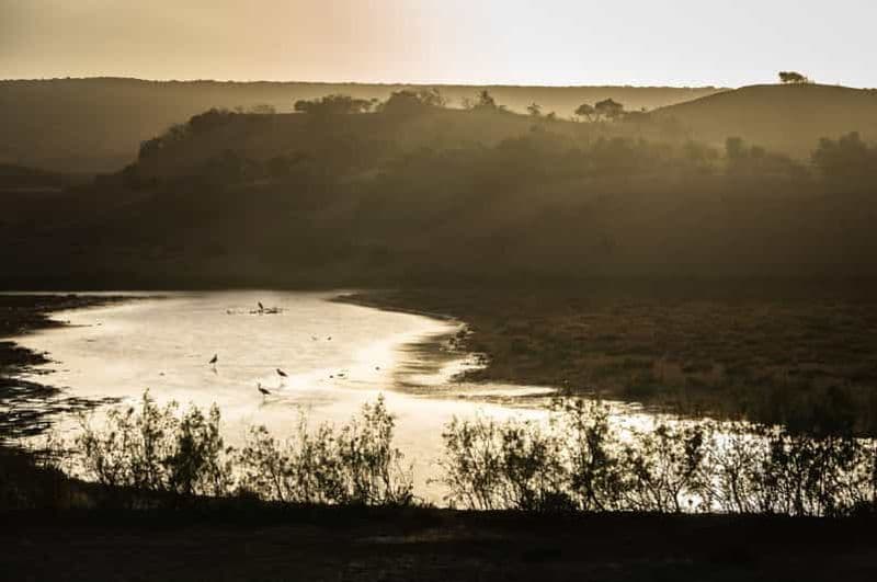 Billet Au départ d'Agadir : Safari dans le désert du parc national du Sous Massa avec déjeuner