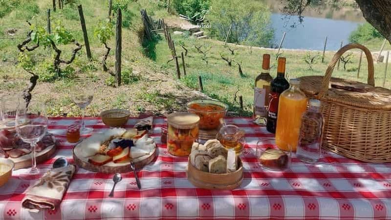Billet Vallée du Douro : Expérience viticole à la Quinta do Tedo avec pique-nique