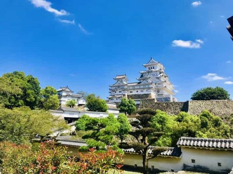 Billet Kyoto/Osaka ; château de Himeji, Kobe. Excursion de luxe avec guide