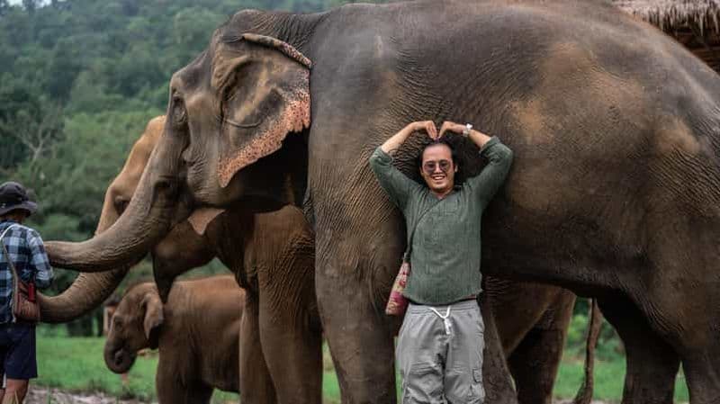 Billet Chiang Mai : Excursion d'une journée - éléphant, long cou, chute d'eau, temple