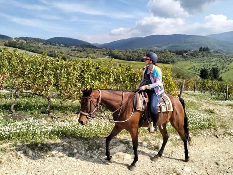 Billet Au départ de Florence : Promenade à cheval et visite d'un domaine viticole avec déjeuner