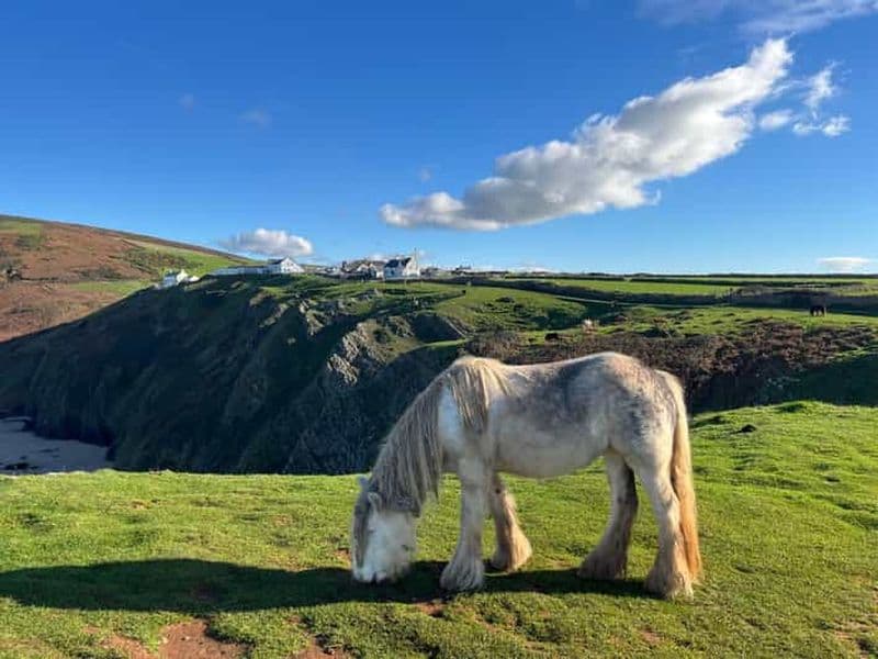 Billet Depuis Swansea : le meilleur de Gower - falaises, plages et au-delà