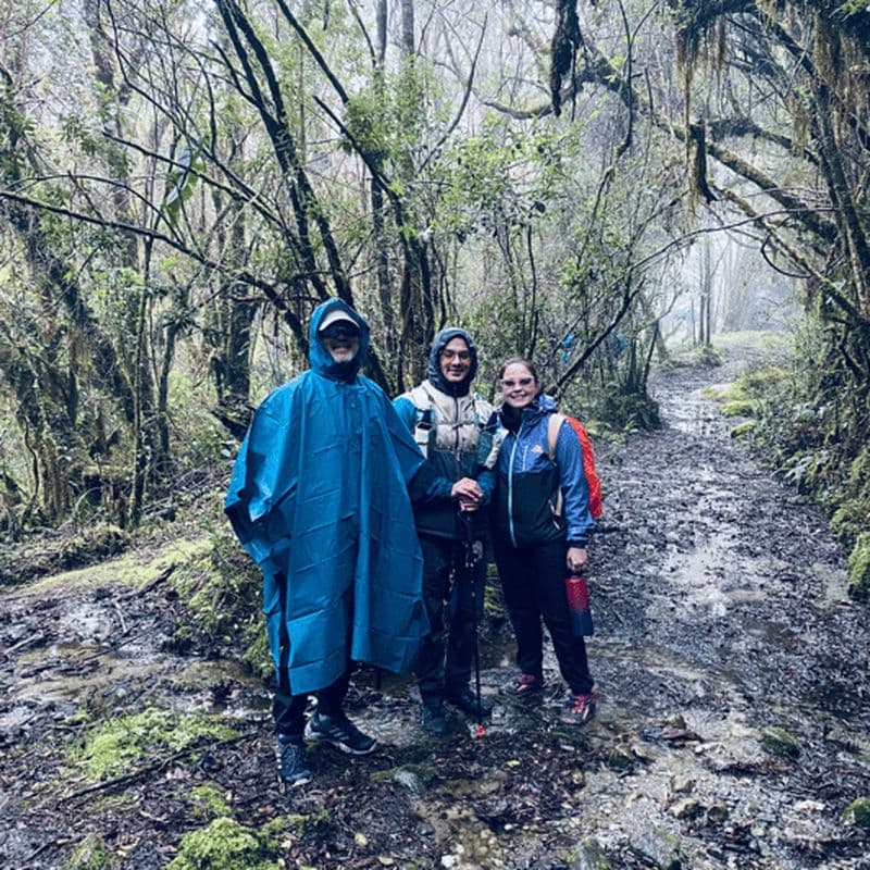 Billet Pijao : visite des frailejones dans le páramo de Chilli