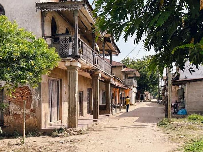 Billet Excursion aux ruines de Tongoni et à la ville historique de Pangani - Depuis Tanga