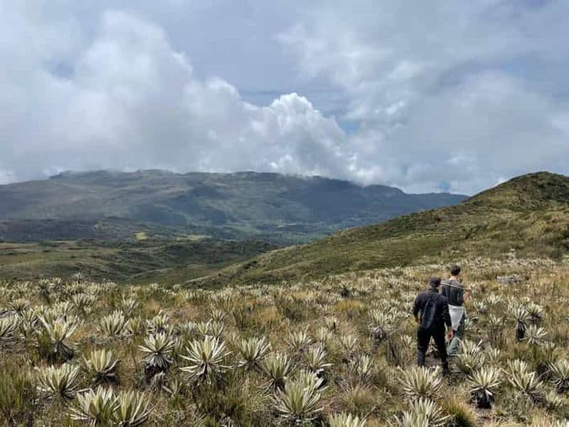 Billet Bogotá : Randonnée au Páramo de Mataredonda et à la Laguna de Teusacá