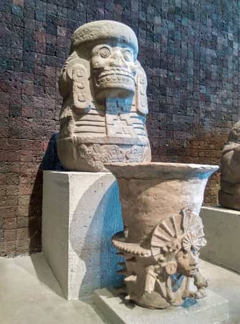 Billet Visite guidée du Musée d'anthropologie