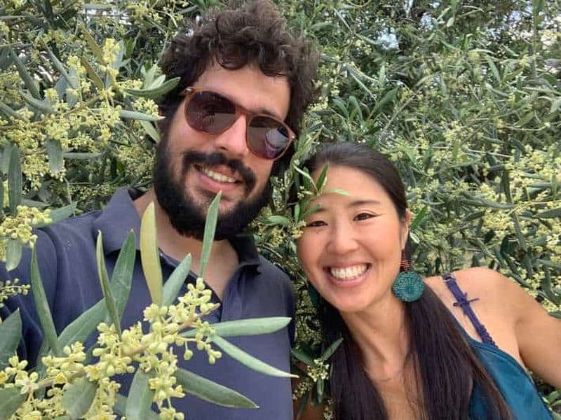 Billet Visite à pied d'une oliveraie, visite culinaire des Pouilles et dégustation d'huile d'olive