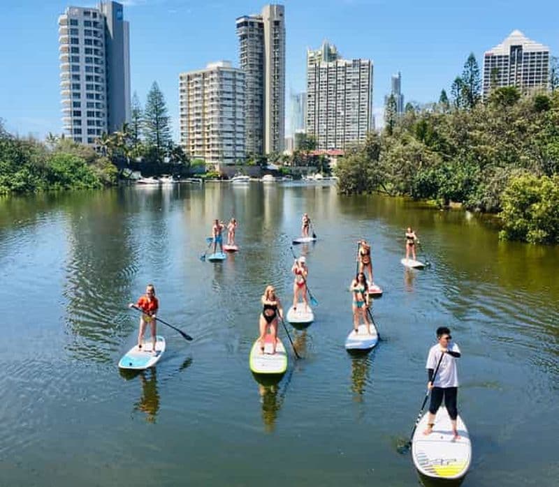 Billet Gold Coast : visite de 2 heures en stand-up paddle et vie marine