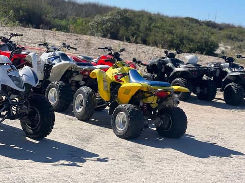 Billet Visite privée d'une journée en quad et du jardin botanique de Kirstenbosch