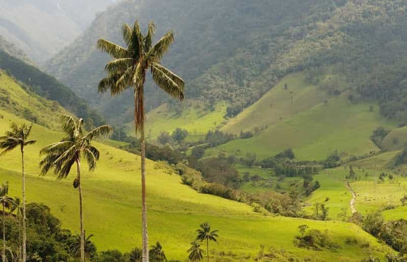 Billet Punta Cana : Visite à pied des montagnes d'Anamaya avec dégustation
