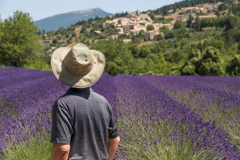 Billet Au départ d'Aix-en-Provence : visite d'une jounée à Sault et Gordes