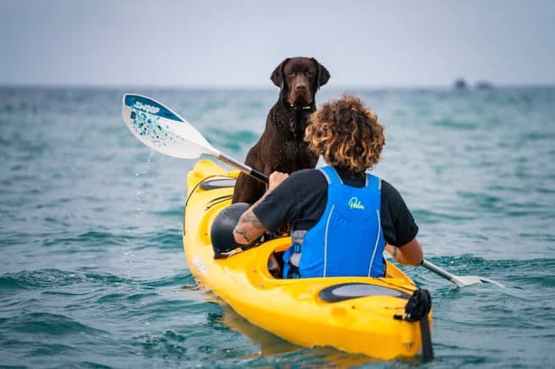 Billet Santorin : Excursion en kayak dans les grottes marines avec plongée en apnée et pique-nique