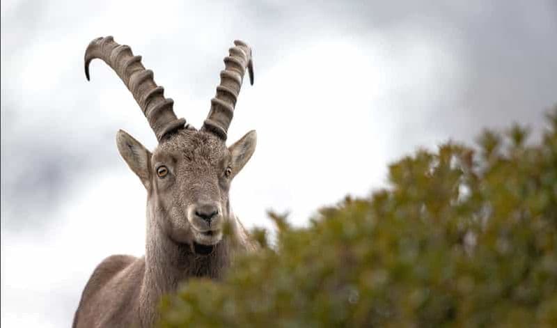 Billet Randonnée Couleurs d'Automne - Journée - Sortie collective