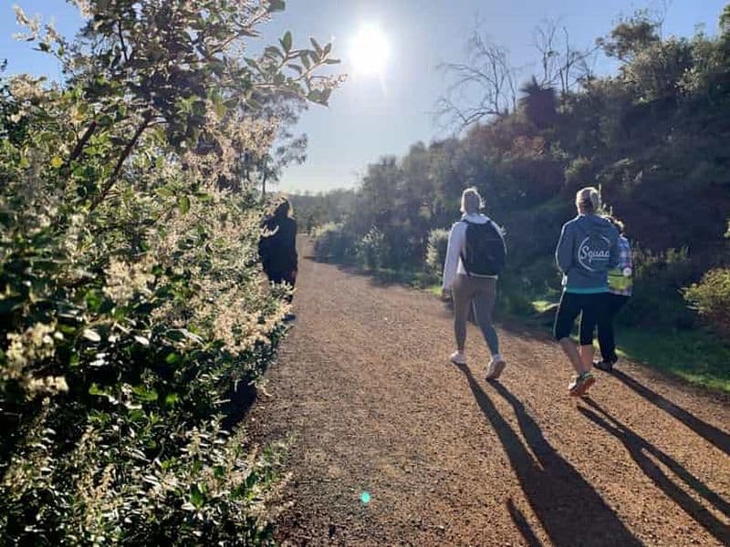 Billet Perth : Randonnée au tunnel de Swan View, aux chutes et à Eagle View