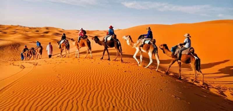 Billet Au départ de Marrakech, 3 jours dans le désert de Merzouga, circuit culturel️