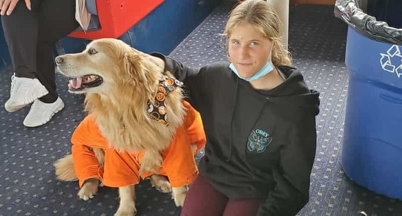Billet Boston : Costumes d'Halloween et croisière touristique adaptés aux chiens