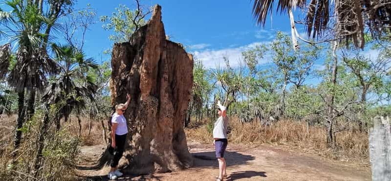Billet Au départ de Darwin : excursion d'une journée en petit groupe au parc national de Litchfield