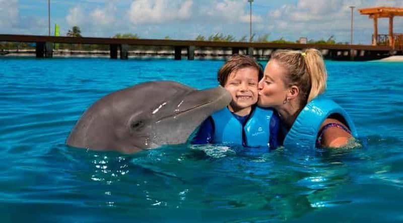 Billet Cancún - Aventure du chat et de la nage avec les dauphins