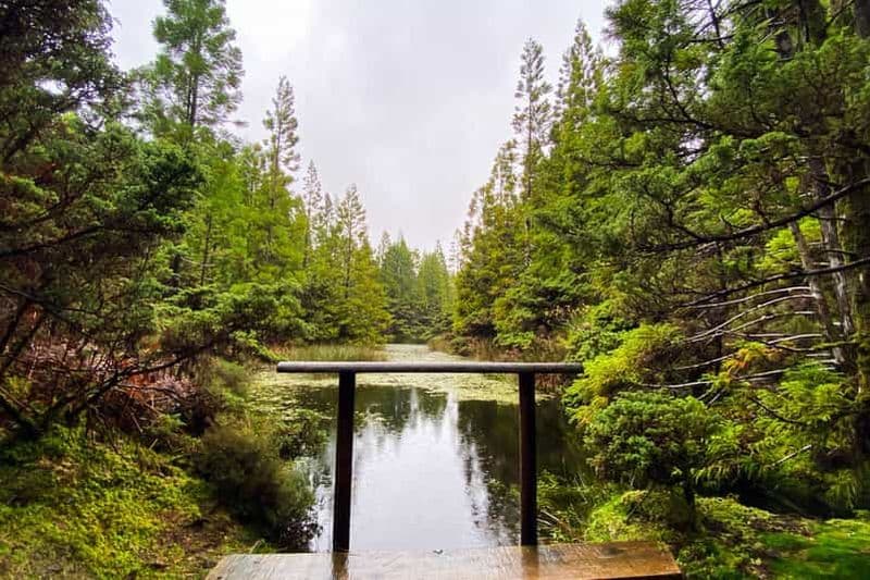 Billet Île de Terceira - Randonnée pédestre d'une demi-journée : Mistérios Negros