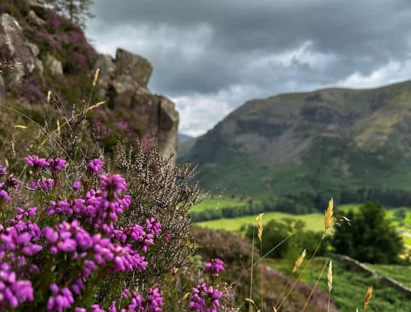 Billet Windermere : Randonnée guidée vers Orrest Head et School Knott