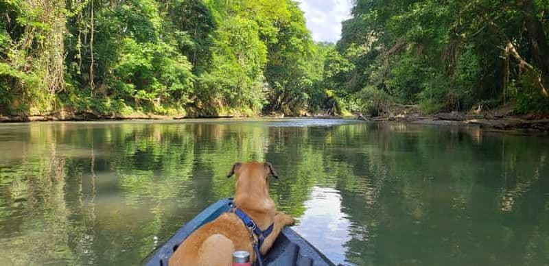 Billet La Fortuna : *TOP* Safari flottant à la découverte de la faune sauvage en kayak