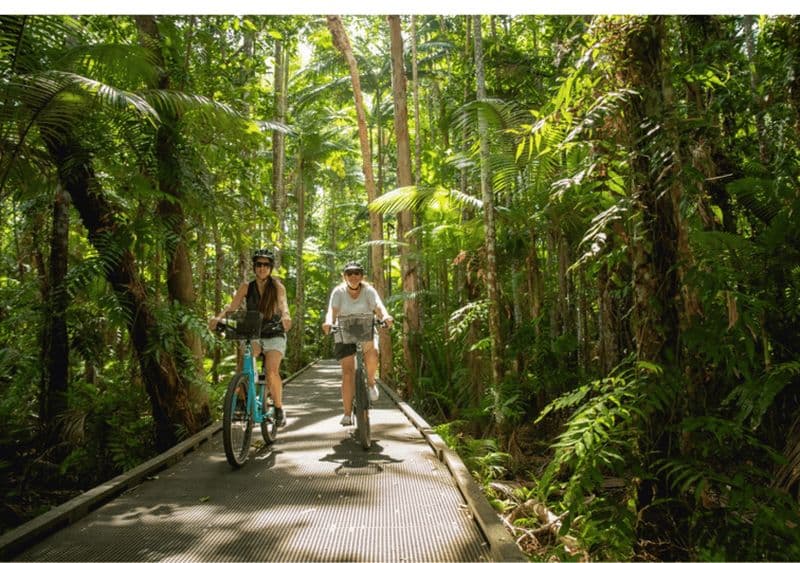 Billet Location de vélos à Cairns : Ville, plages ou forêt tropicale