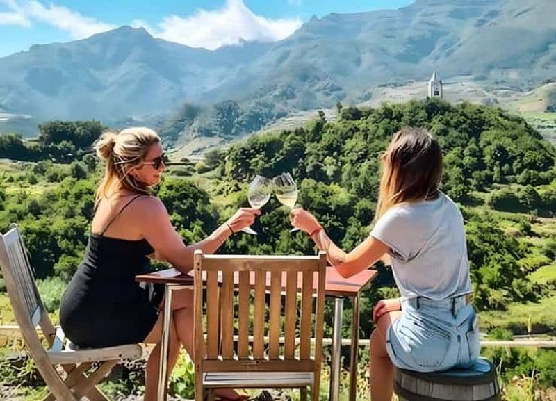 Billet Visite du vignoble de São Vicente avec déjeuner traditionnel