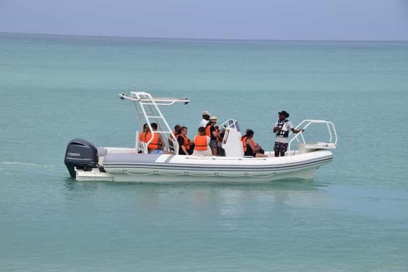 Billet Boa Vista : 4h de bateau avec plongée en apnée et visite de l'île de Djeu