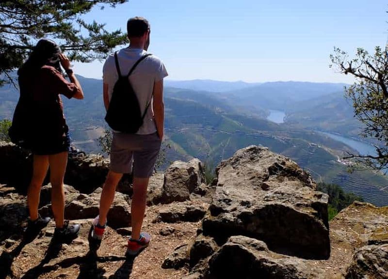 Billet Au départ de Porto : Visite privée d'une journée dans la région du Douro, consacrée à la gastronomie et au vin