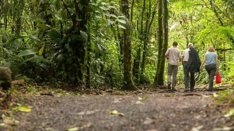 Billet Chute d'eau du Rio Celeste dans le parc national du volcan Tenorio