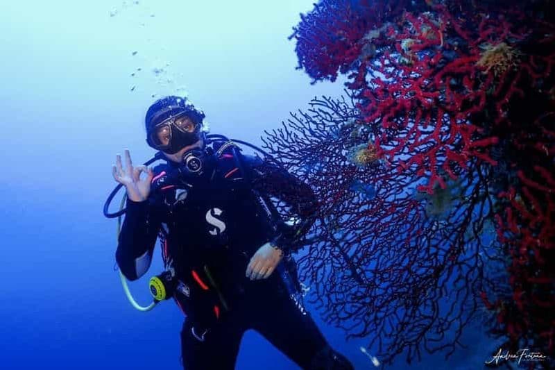 Billet Île d'Elbe : double plongée avec instructeur et collations