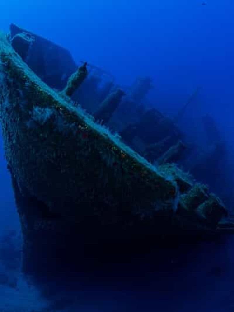 Billet Madère : plongée sous-marine de 4 heures au départ de l'île de Porto Santo