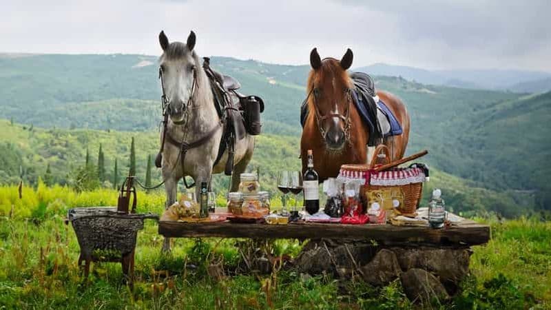 Billet Borgo Cignano : le vin et les chevaux