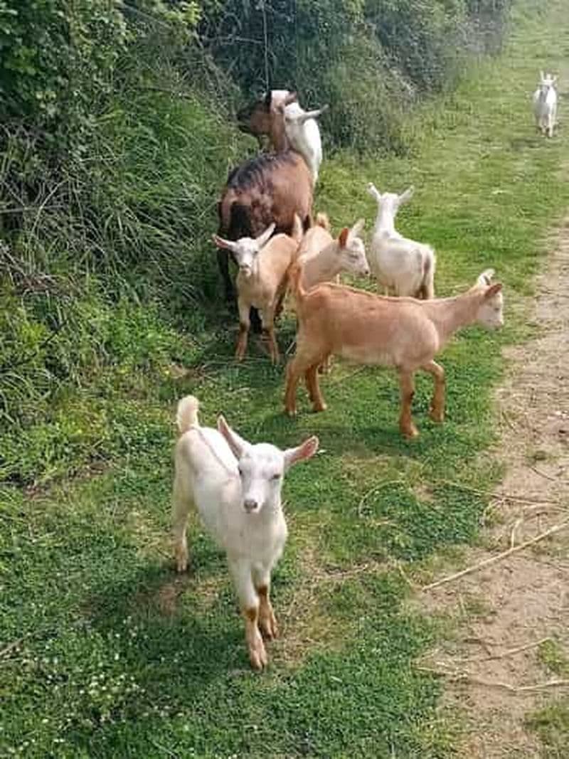 Billet Depuis Tirana : LÀ OÙ L'HISTOIRE RENCONTRE LA NATURE - RANDONNÉE VIA EGNATIA